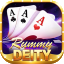 13 card rummy sequence icon