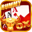 rummy wealth 666